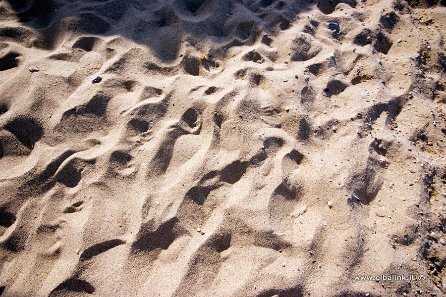 La spiaggia del Lido di Capoliveri